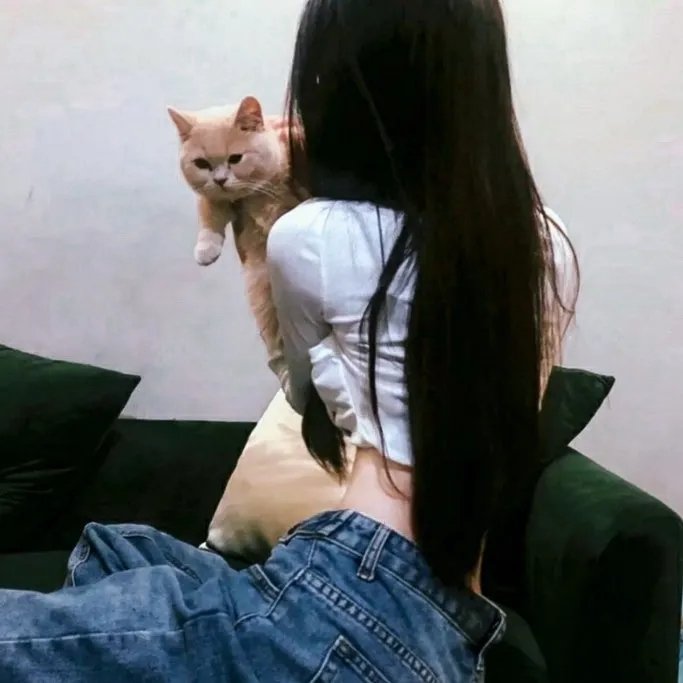 我最好朋友的婚礼