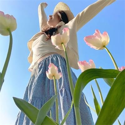 小迪兹的完美观念